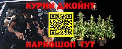 молекула духа Заволжье