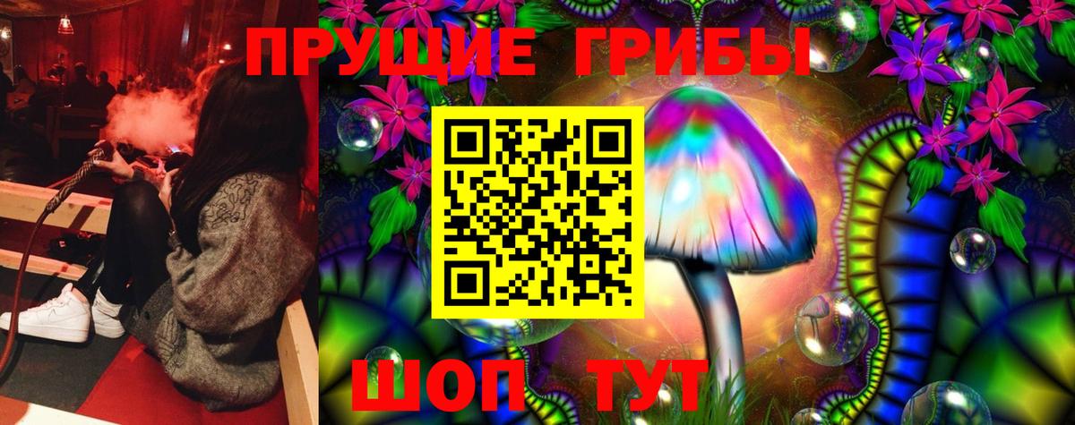Галлюциногенные грибы Psilocybe  Вход с VPN  Магнитогорск 